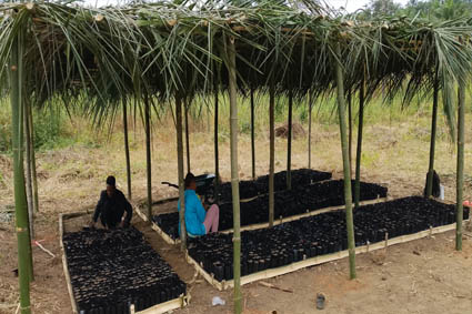 Santé communautaire